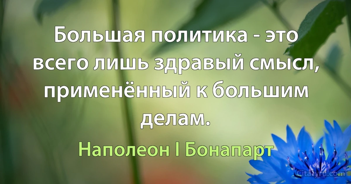 Большая политика - это всего лишь здравый смысл, применённый к большим делам. (Наполеон I Бонапарт)