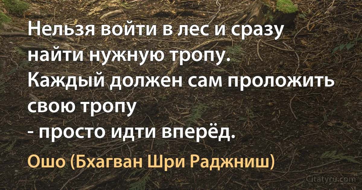 Нельзя войти в лес и сразу найти нужную тропу.
Каждый должен сам проложить свою тропу
- просто идти вперёд. (Ошо (Бхагван Шри Раджниш))