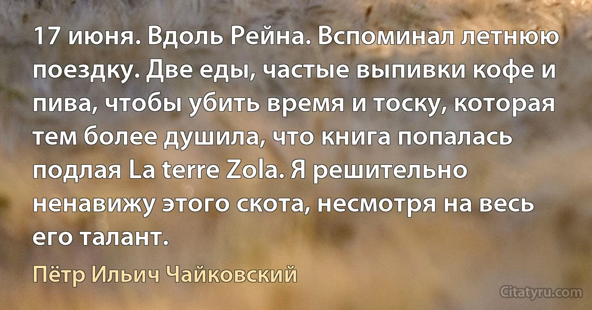 17 июня. Вдоль Рейна. Вспоминал летнюю поездку. Две еды, частые выпивки кофе и пива, чтобы убить время и тоску, которая тем более душила, что книга попалась подлая La terre Zola. Я решительно ненавижу этого скота, несмотря на весь его талант. (Пётр Ильич Чайковский)