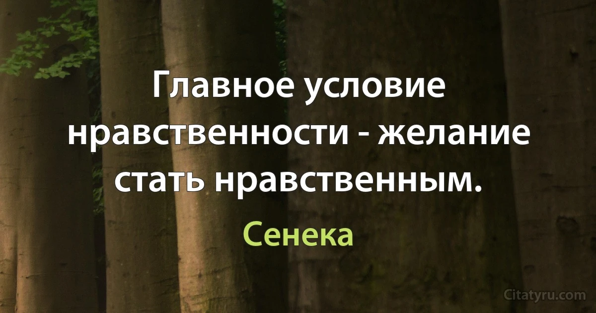 Главное условие нравственности - желание стать нравственным. (Сенека)