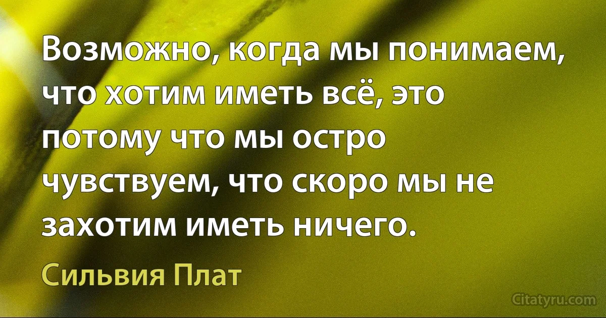 Возможно, когда мы понимаем, что хотим иметь всё, это потому что мы остро чувствуем, что скоро мы не захотим иметь ничего. (Сильвия Плат)