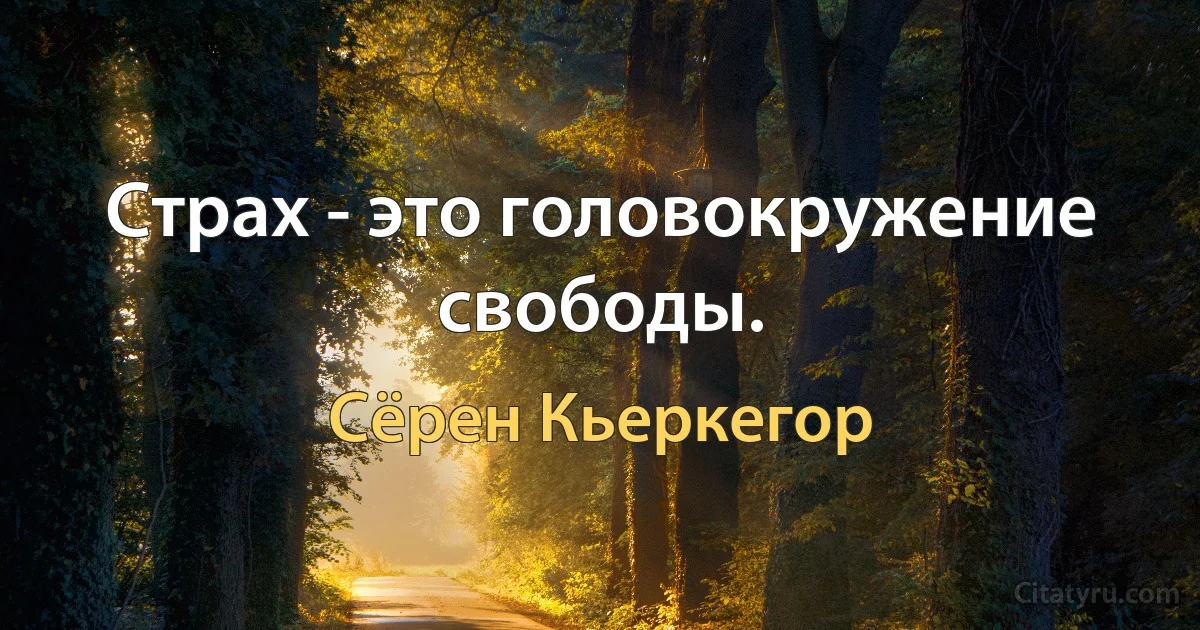 Страх - это головокружение свободы. (Сёрен Кьеркегор)