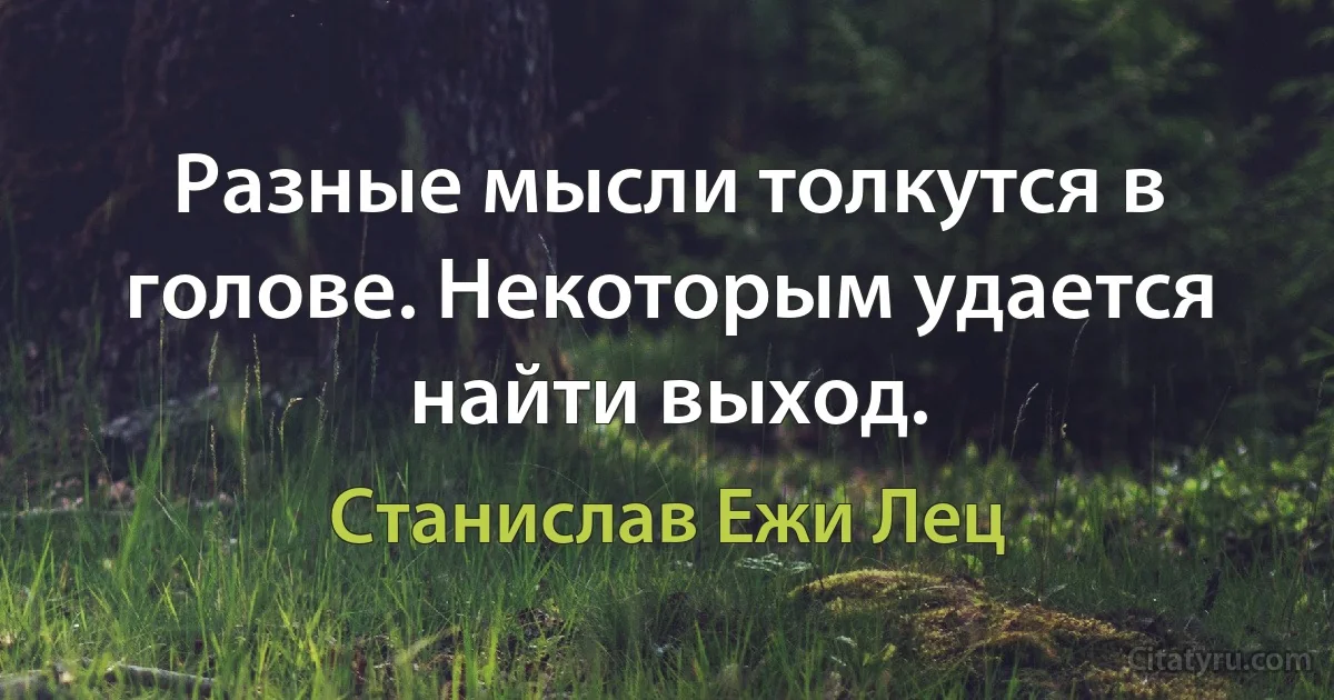 Разные мысли толкутся в голове. Некоторым удается найти выход. (Станислав Ежи Лец)