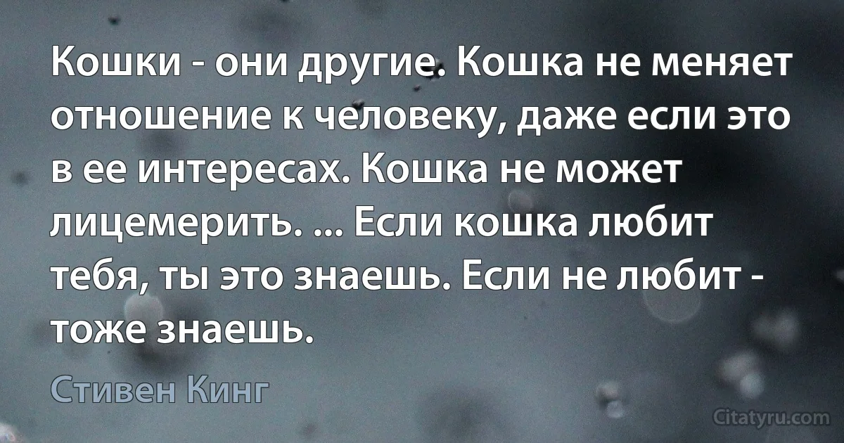 Кошки - они другие. Кошка не меняет отношение к человеку, даже если это в ее интересах. Кошка не может лицемерить. ... Если кошка любит тебя, ты это знаешь. Если не любит - тоже знаешь. (Стивен Кинг)