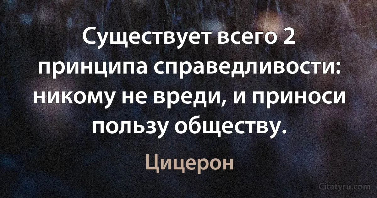 Существует всего 2 принципа справедливости: никому не вреди, и приноси пользу обществу. (Цицерон)