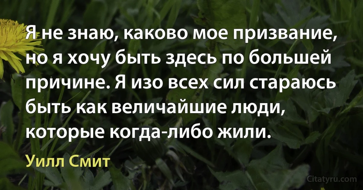 Я не знаю, каково мое призвание, но я хочу быть здесь по большей причине. Я изо всех сил стараюсь быть как величайшие люди, которые когда-либо жили. (Уилл Смит)