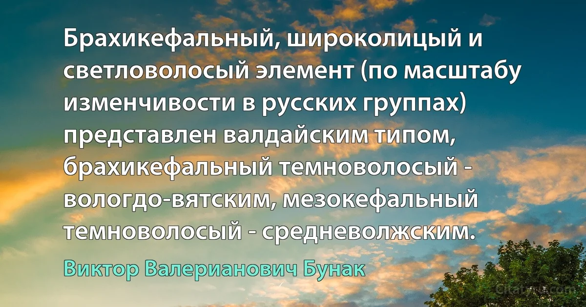 Брахикефальный, широколицый и светловолосый элемент (по масштабу изменчивости в русских группах) представлен валдайским типом, брахикефальный темноволосый - вологдо-вятским, мезокефальный темноволосый - средневолжским. (Виктор Валерианович Бунак)