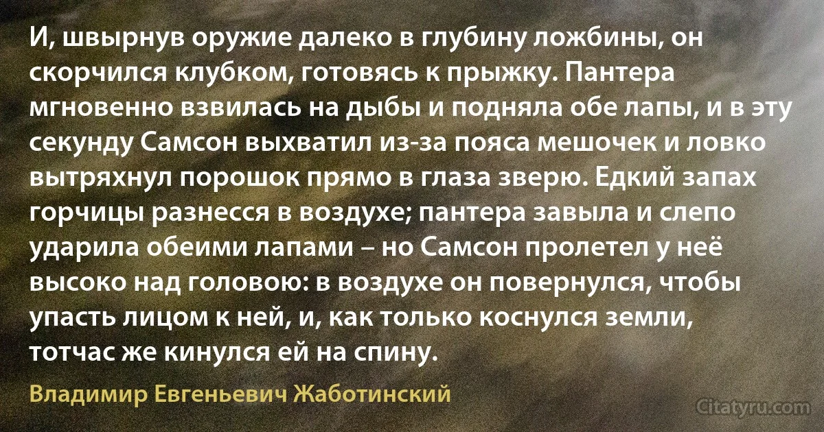 И, швырнув оружие далеко в глубину ложбины, он скорчился клубком, готовясь к прыжку. Пантера мгновенно взвилась на дыбы и подняла обе лапы, и в эту секунду Самсон выхватил из-за пояса мешочек и ловко вытряхнул порошок прямо в глаза зверю. Едкий запах горчицы разнесся в воздухе; пантера завыла и слепо ударила обеими лапами – но Самсон пролетел у неё высоко над головою: в воздухе он повернулся, чтобы упасть лицом к ней, и, как только коснулся земли, тотчас же кинулся ей на спину. (Владимир Евгеньевич Жаботинский)