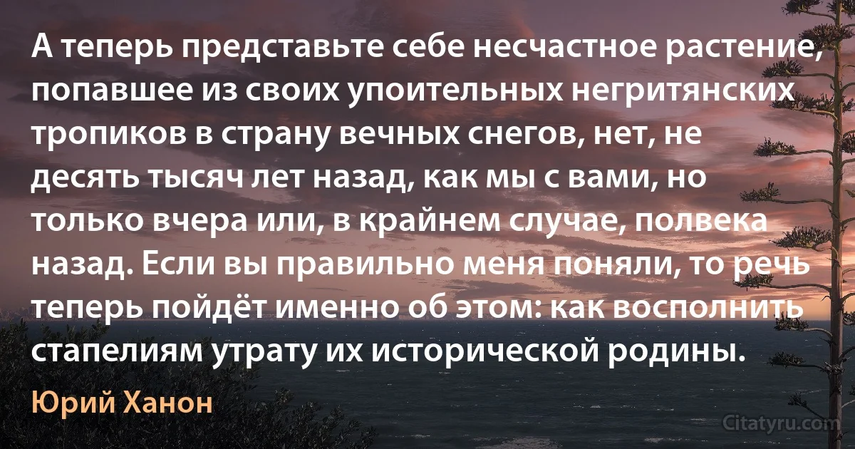 А теперь представьте себе несчастное растение, попавшее из своих упоительных негритянских тропиков в страну вечных снегов, нет, не десять тысяч лет назад, как мы с вами, но только вчера или, в крайнем случае, полвека назад. Если вы правильно меня поняли, то речь теперь пойдёт именно об этом: как восполнить стапелиям утрату их исторической родины. (Юрий Ханон)