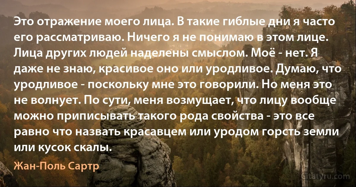 Это отражение моего лица. В такие гиблые дни я часто его рассматриваю. Ничего я не понимаю в этом лице. Лица других людей наделены смыслом. Моё - нет. Я даже не знаю, красивое оно или уродливое. Думаю, что уродливое - поскольку мне это говорили. Но меня это не волнует. По сути, меня возмущает, что лицу вообще можно приписывать такого рода свойства - это все равно что назвать красавцем или уродом горсть земли или кусок скалы. (Жан-Поль Сартр)