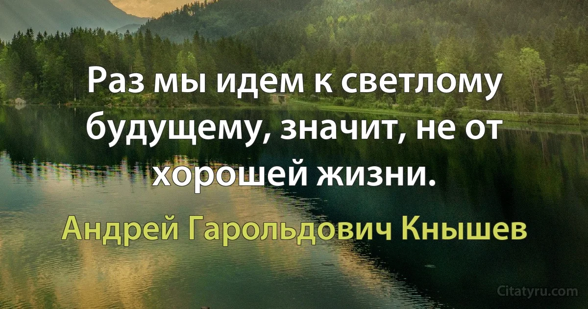 Раз мы идем к светлому будущему, значит, не от хорошей жизни. (Андрей Гарольдович Кнышев)