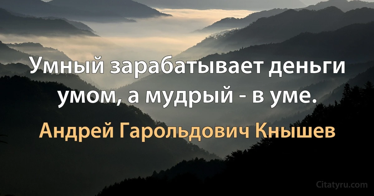 Умный зарабатывает деньги умом, а мудрый - в уме. (Андрей Гарольдович Кнышев)