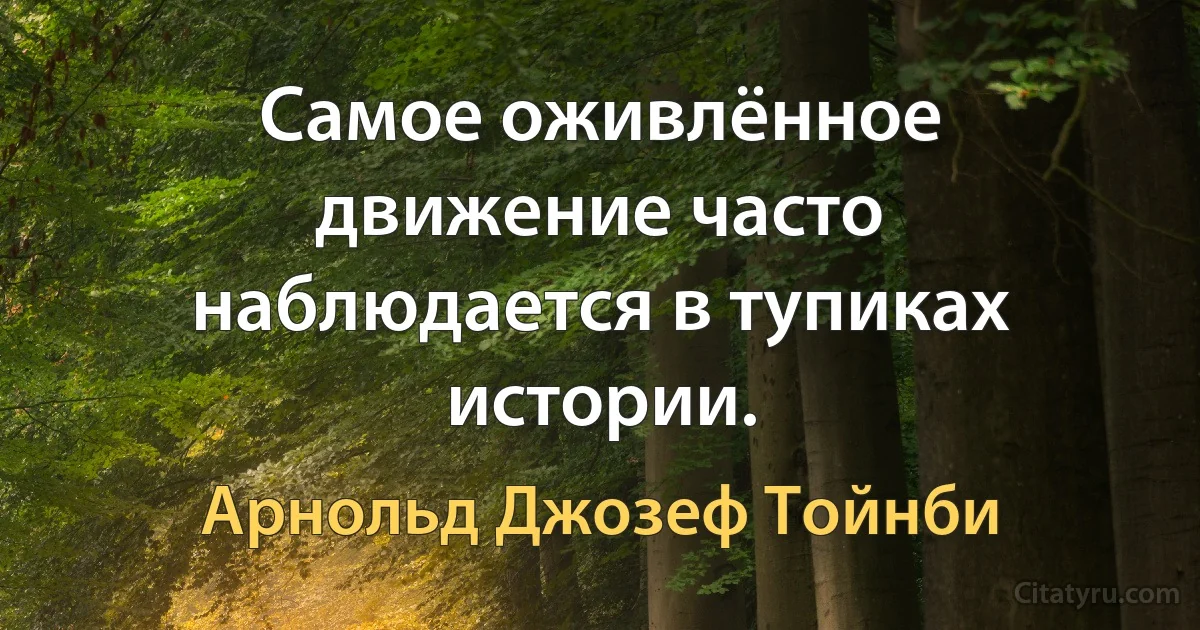 Самое оживлённое движение часто наблюдается в тупиках истории. (Арнольд Джозеф Тойнби)