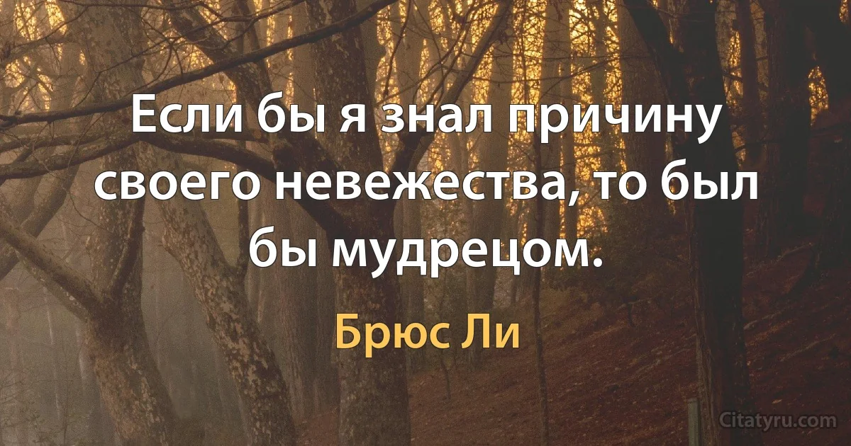 Если бы я знал причину своего невежества, то был бы мудрецом. (Брюс Ли)