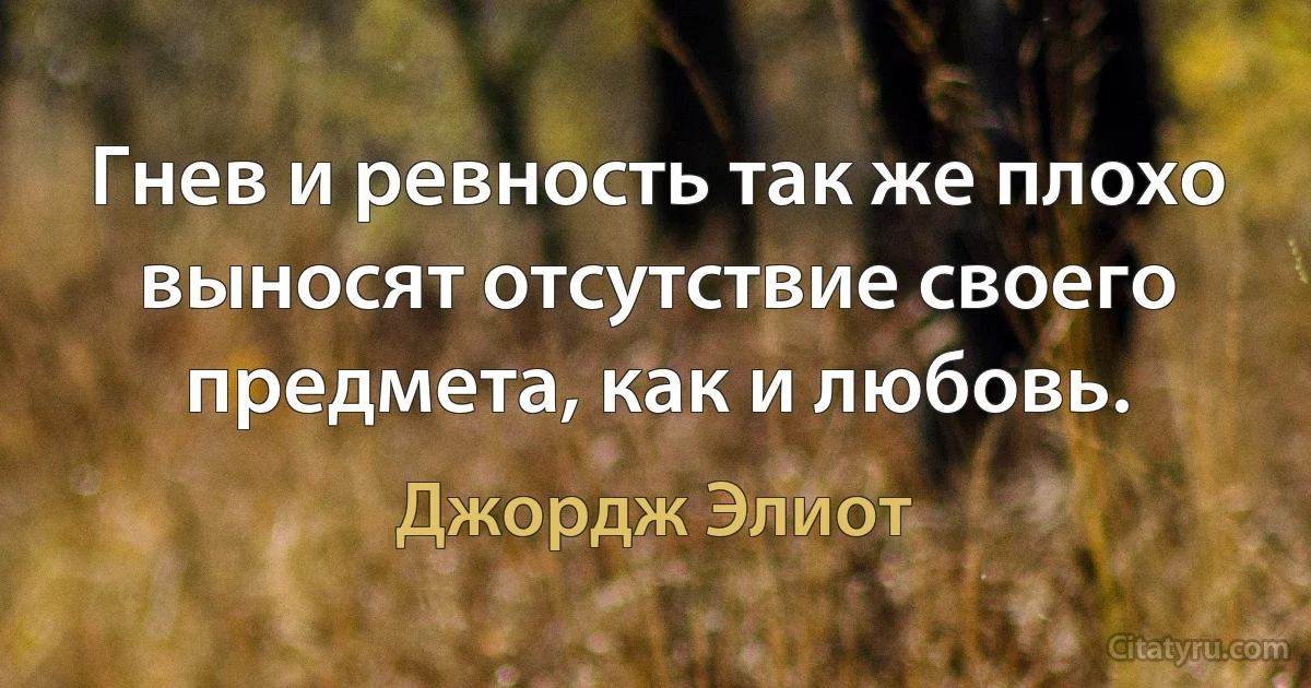 Гнев и ревность так же плохо выносят отсутствие своего предмета, как и любовь. (Джордж Элиот)