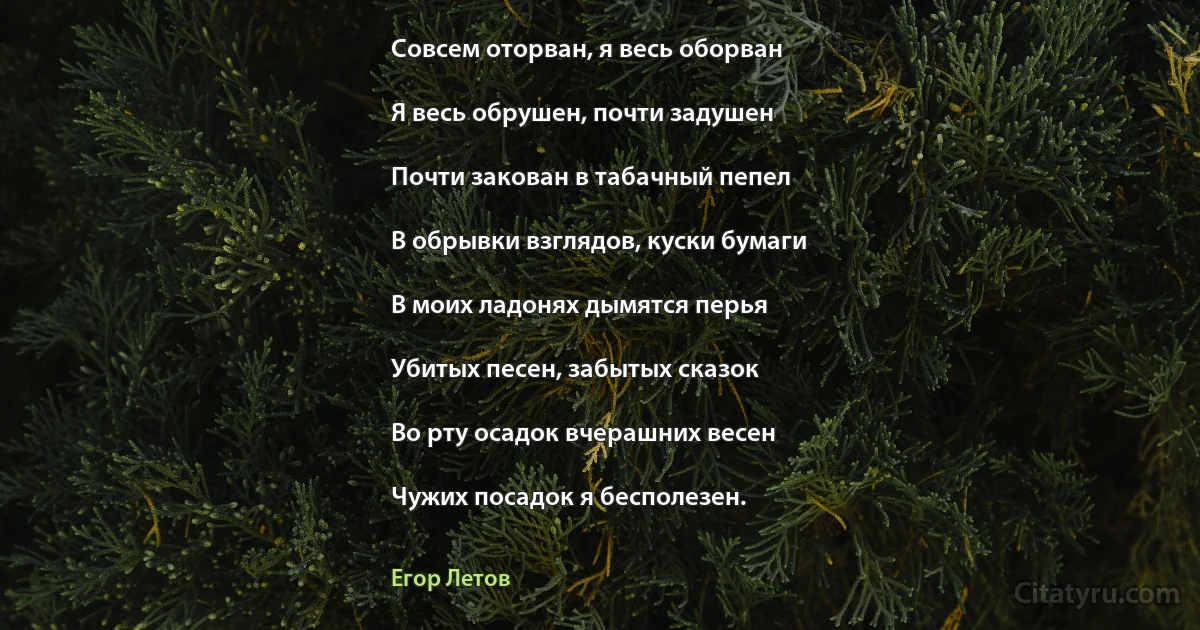 Совсем оторван, я весь оборван

Я весь обрушен, почти задушен

Почти закован в табачный пепел

В обрывки взглядов, куски бумаги

В моих ладонях дымятся перья

Убитых песен, забытых сказок

Во рту осадок вчерашних весен

Чужих посадок я бесполезен. (Егор Летов)