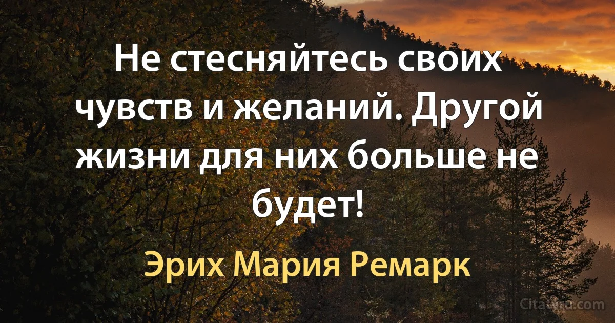 Не стесняйтесь своих чувств и желаний. Другой жизни для них больше не будет! (Эрих Мария Ремарк)