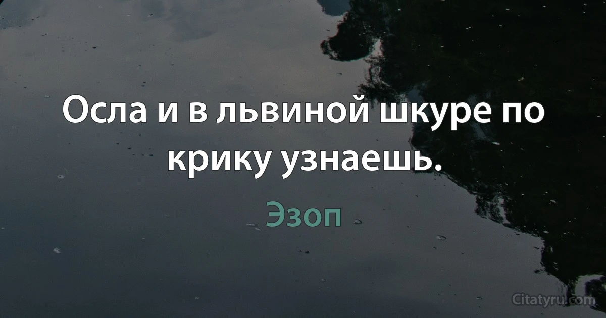 Осла и в львиной шкуре по крику узнаешь. (Эзоп)