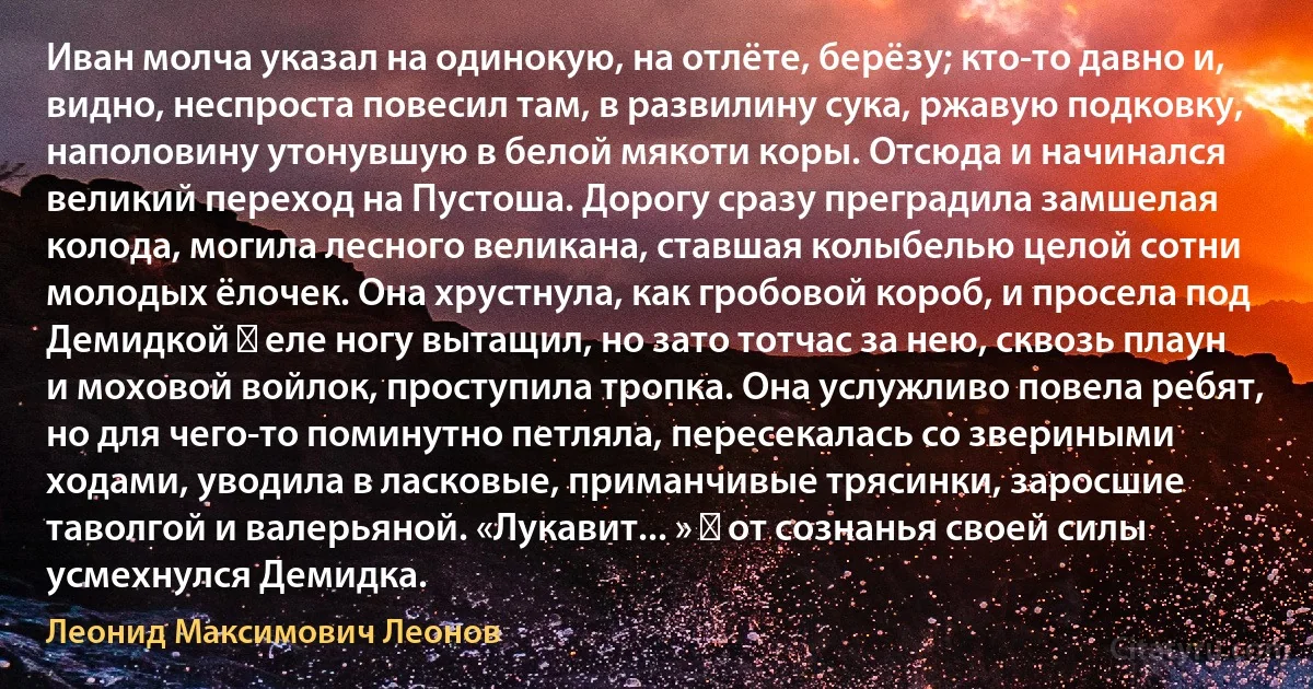 Иван молча указал на одинокую, на отлёте, берёзу; кто-то давно и, видно, неспроста повесил там, в развилину сука, ржавую подковку, наполовину утонувшую в белой мякоти коры. Отсюда и начинался великий переход на Пустошa. Дорогу сразу преградила замшелая колода, могила лесного великана, ставшая колыбелью целой сотни молодых ёлочек. Она хрустнула, как гробовой короб, и просела под Демидкой ― еле ногу вытащил, но зато тотчас за нею, сквозь плаун и моховой войлок, проступила тропка. Она услужливо повела ребят, но для чего-то поминутно петляла, пересекалась со звериными ходами, уводила в ласковые, приманчивые трясинки, заросшие таволгой и валерьяной. «Лукавит... » ― от сознанья своей силы усмехнулся Демидка. (Леонид Максимович Леонов)