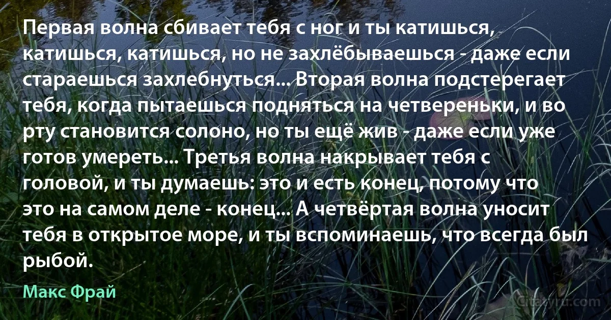 Первая волна сбивает тебя с ног и ты катишься, катишься, катишься, но не захлёбываешься - даже если стараешься захлебнуться... Вторая волна подстерегает тебя, когда пытаешься подняться на четвереньки, и во рту становится солоно, но ты ещё жив - даже если уже готов умереть... Третья волна накрывает тебя с головой, и ты думаешь: это и есть конец, потому что это на самом деле - конец... А четвёртая волна уносит тебя в открытое море, и ты вспоминаешь, что всегда был рыбой. (Макс Фрай)