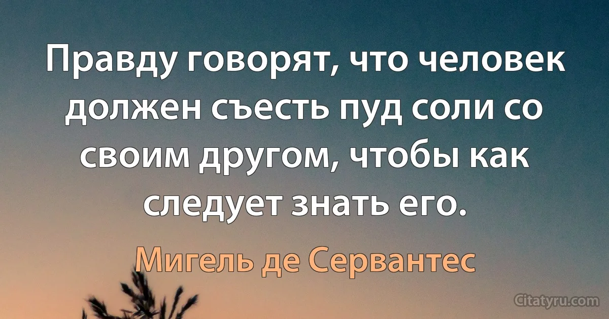 Правду говорят, что человек должен съесть пуд соли со своим другом, чтобы как следует знать его. (Мигель де Сервантес)