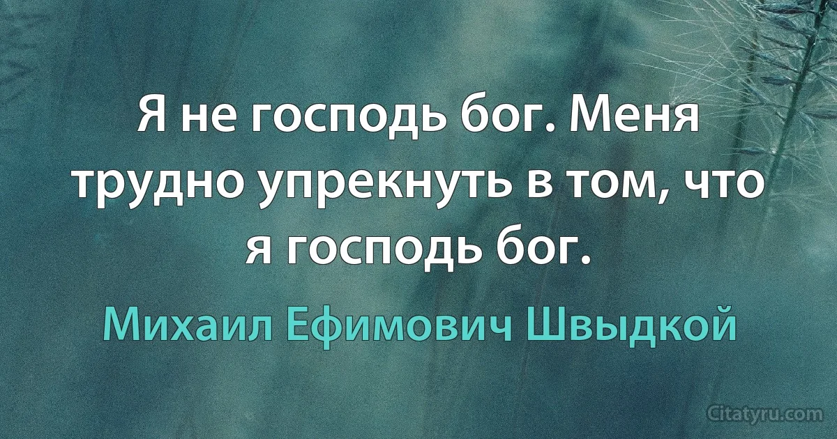 Я не господь бог. Меня трудно упрекнуть в том, что я господь бог. (Михаил Ефимович Швыдкой)