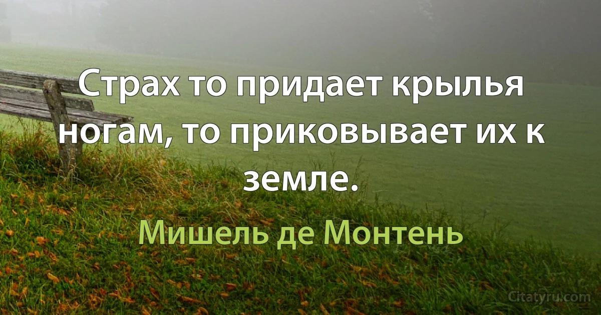 Страх то придает крылья ногам, то приковывает их к земле. (Мишель де Монтень)