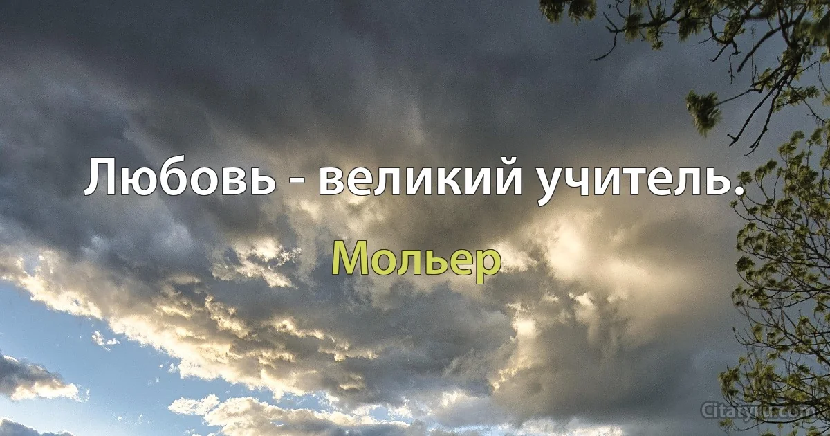 Любовь - великий учитель. (Мольер)