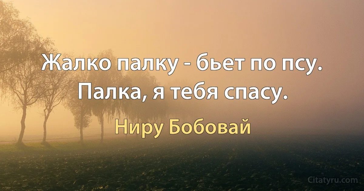 Жалко палку - бьет по псу.
Палка, я тебя спасу. (Ниру Бобовай)