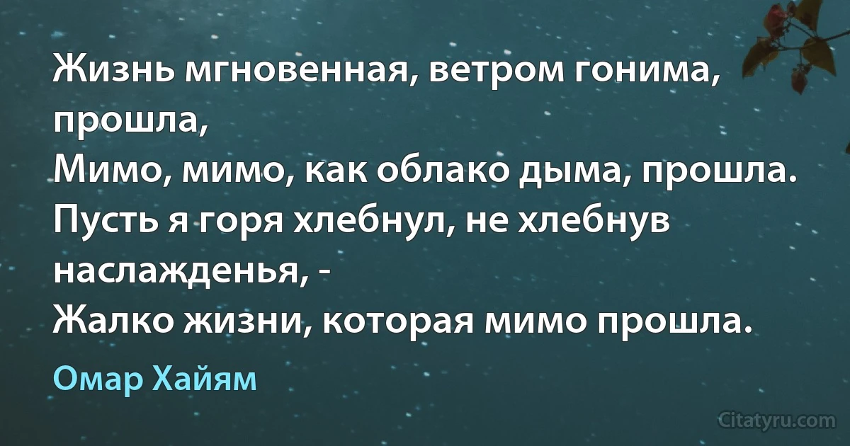 Жизнь мгновенная, ветром гонима, прошла,
Мимо, мимо, как облако дыма, прошла.
Пусть я горя хлебнул, не хлебнув наслажденья, -
Жалко жизни, которая мимо прошла. (Омар Хайям)