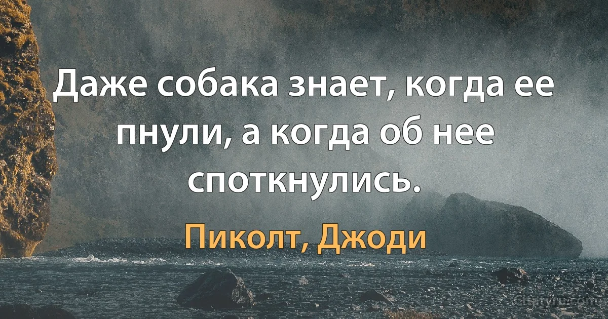 Даже собака знает, когда ее пнули, а когда об нее споткнулись. (Пиколт, Джоди)