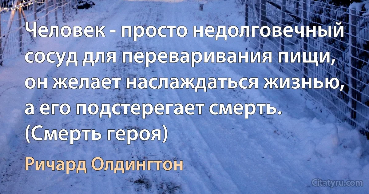 Человек - просто недолговечный сосуд для переваривания пищи, он желает наслаждаться жизнью, а его подстерегает смерть. (Смерть героя) (Ричард Олдингтон)