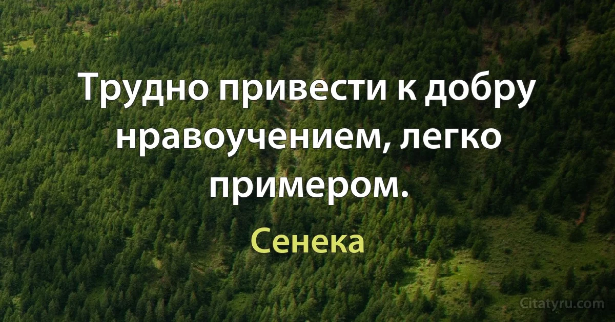 Трудно привести к добру нравоучением, легко примером. (Сенека)