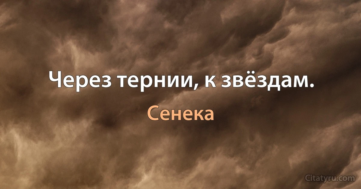 Через тернии, к звёздам. (Сенека)