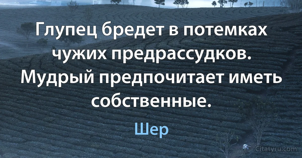 Глупец бредет в потемках чужих предрассудков. Мудрый предпочитает иметь собственные. (Шер)