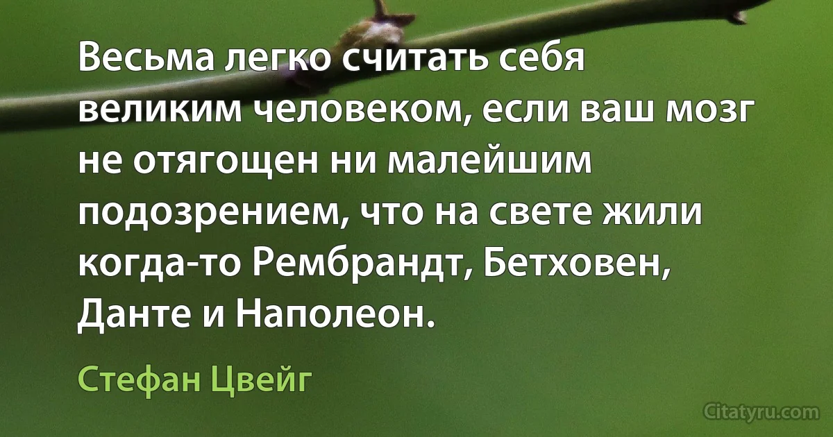 Весьма легко считать себя великим человеком, если ваш мозг не отягощен ни малейшим подозрением, что на свете жили когда-то Рембрандт, Бетховен, Данте и Наполеон. (Стефан Цвейг)