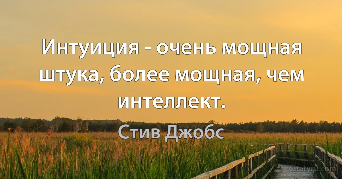 Интуиция - очень мощная штука, более мощная, чем интеллект. (Стив Джобс)