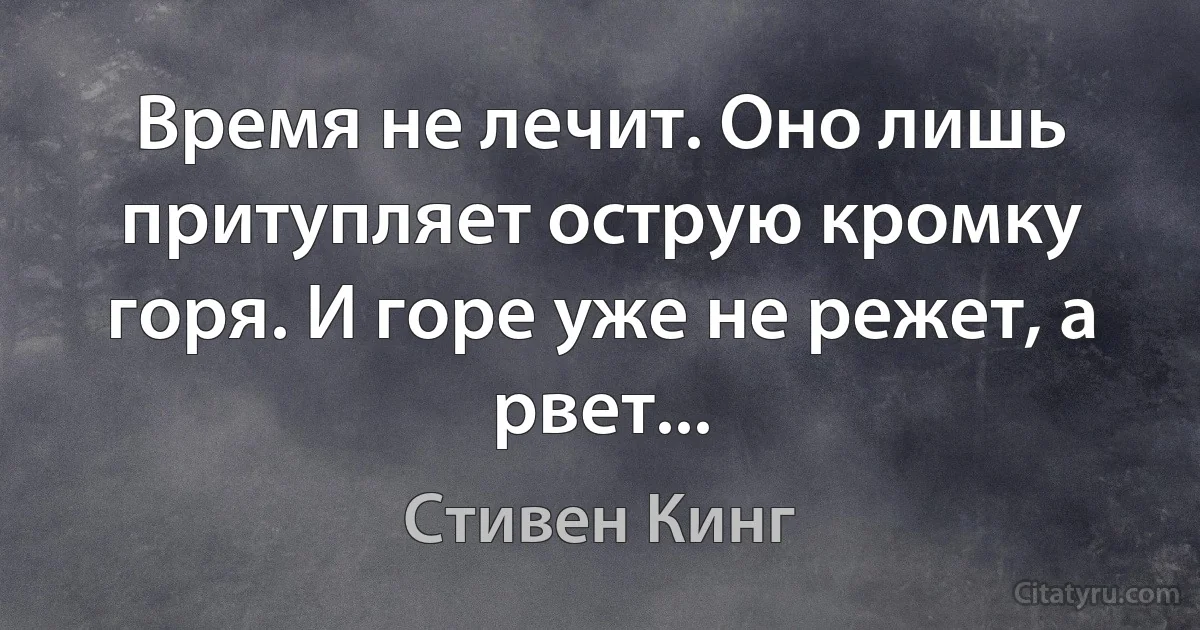 Время не лечит. Оно лишь притупляет острую кромку горя. И горе уже не режет, а рвет... (Стивен Кинг)