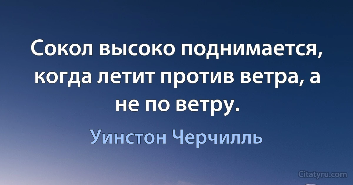 Сокол высоко поднимается, когда летит против ветра, а не по ветру. (Уинстон Черчилль)