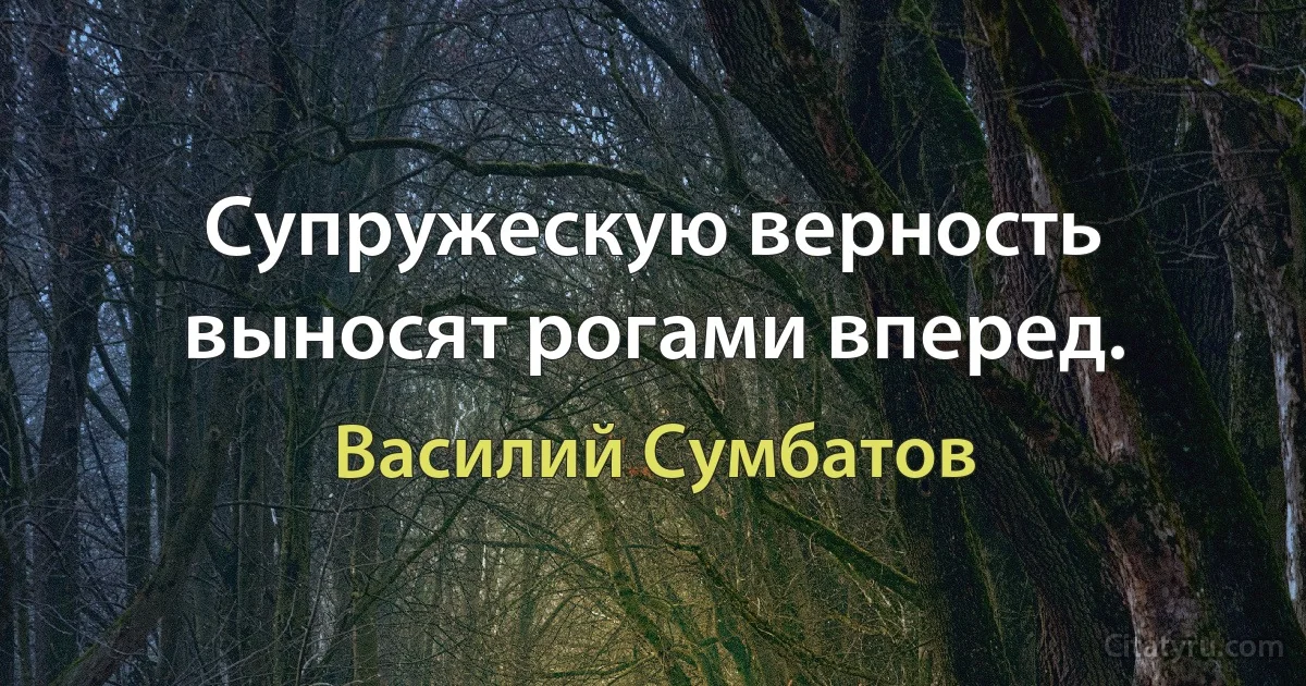 Супружескую верность выносят рогами вперед. (Василий Сумбатов)