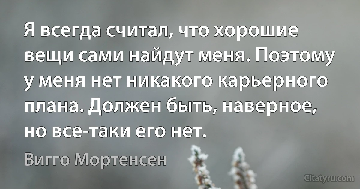 Я всегда считал, что хорошие вещи сами найдут меня. Поэтому у меня нет никакого карьерного плана. Должен быть, наверное, но все-таки его нет. (Вигго Мортенсен)