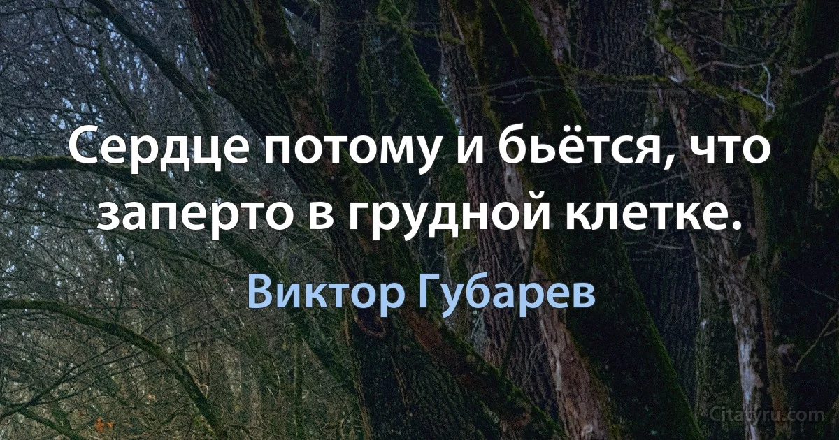 Сердце потому и бьётся, что заперто в грудной клетке. (Виктор Губарев)