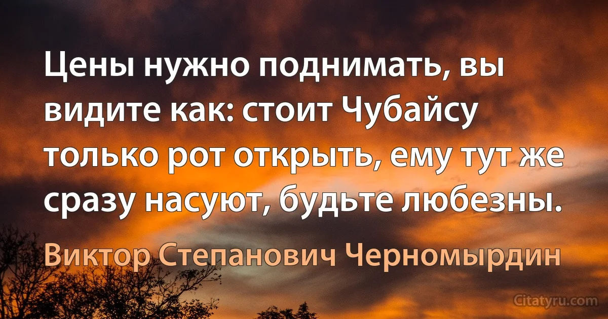 Цены нужно поднимать, вы видите как: стоит Чубайсу только рот открыть, ему тут же сразу насуют, будьте любезны. (Виктор Степанович Черномырдин)