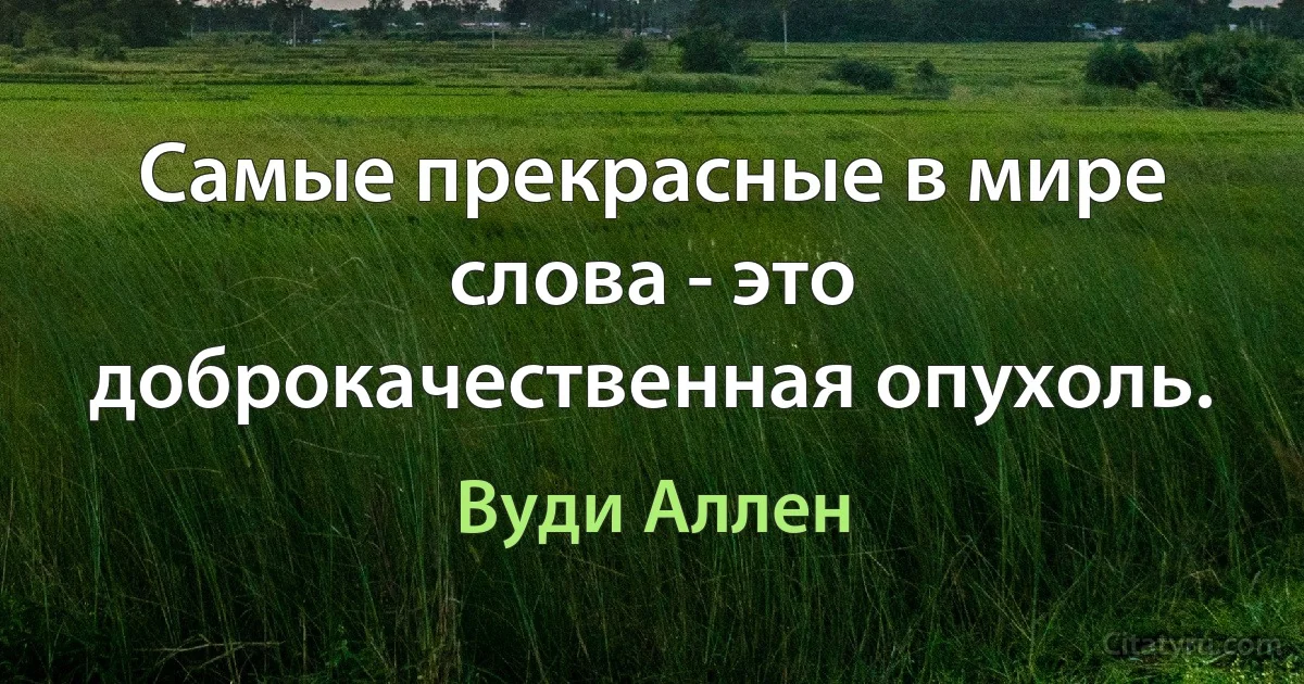 Самые прекрасные в мире слова - это доброкачественная опухоль. (Вуди Аллен)