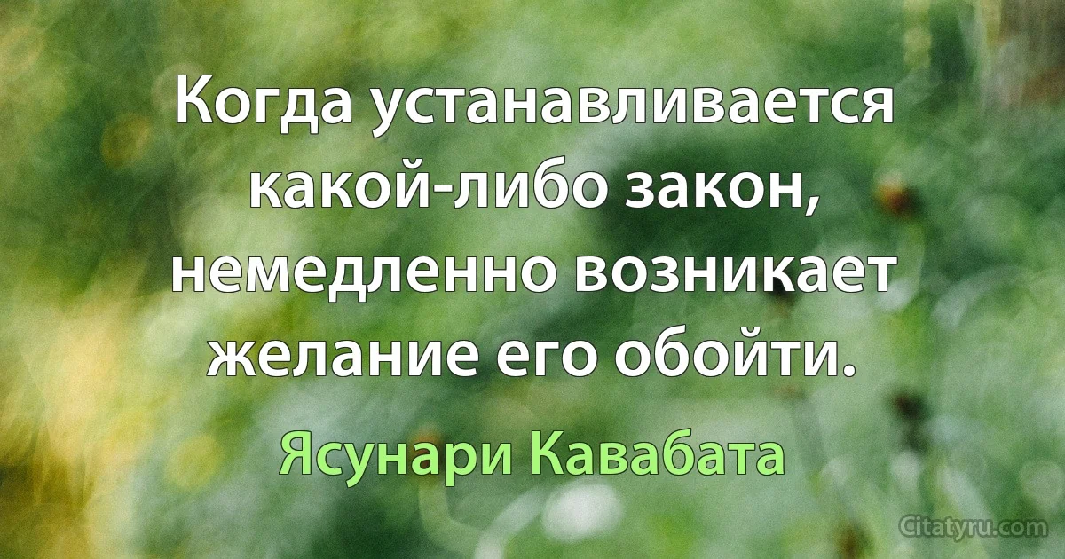 Когда устанавливается какой-либо закон, немедленно возникает желание его обойти. (Ясунари Кавабата)