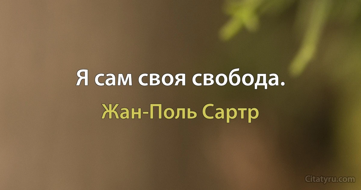 Я сам своя свобода. (Жан-Поль Сартр)