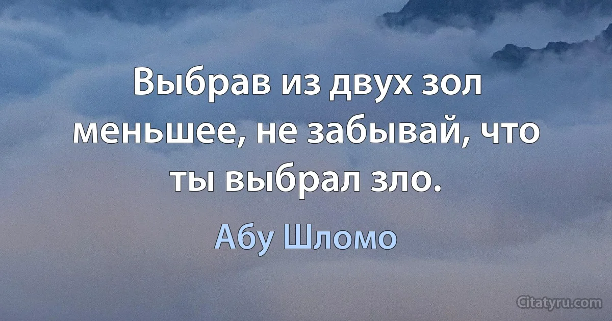 Выбрав из двух зол меньшее, не забывай, что ты выбрал зло. (Абу Шломо)