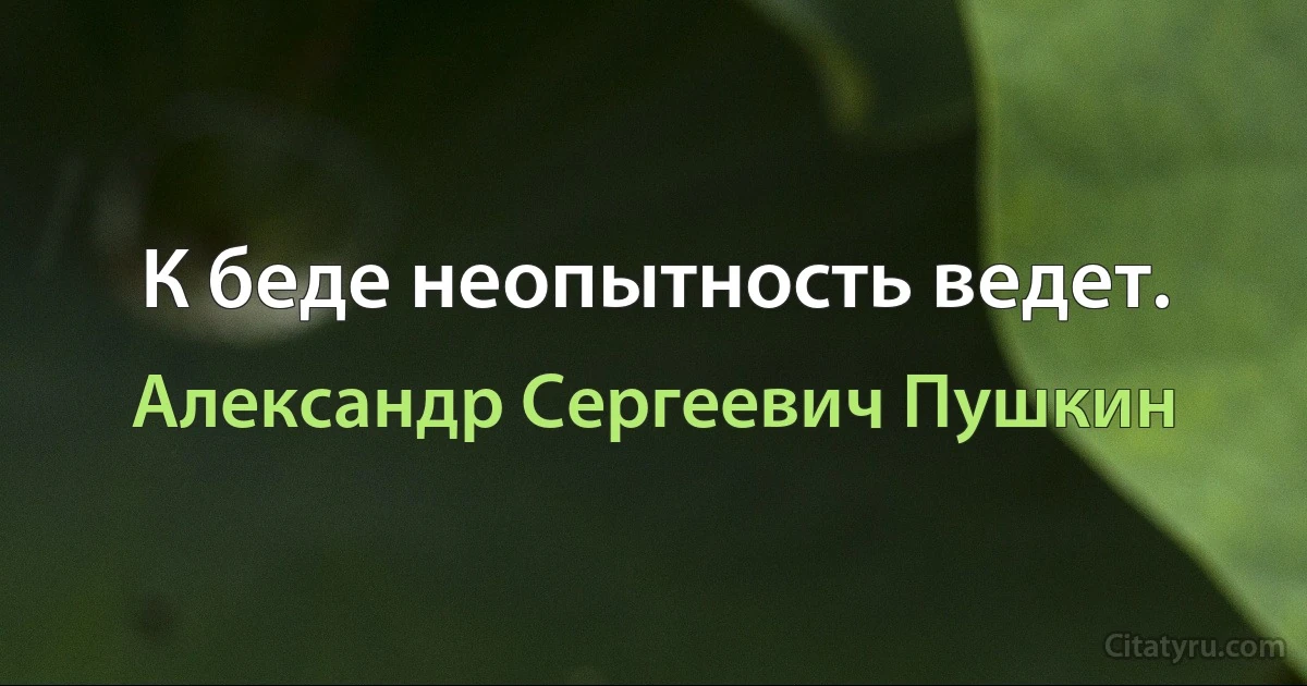 К беде неопытность ведет. (Александр Сергеевич Пушкин)