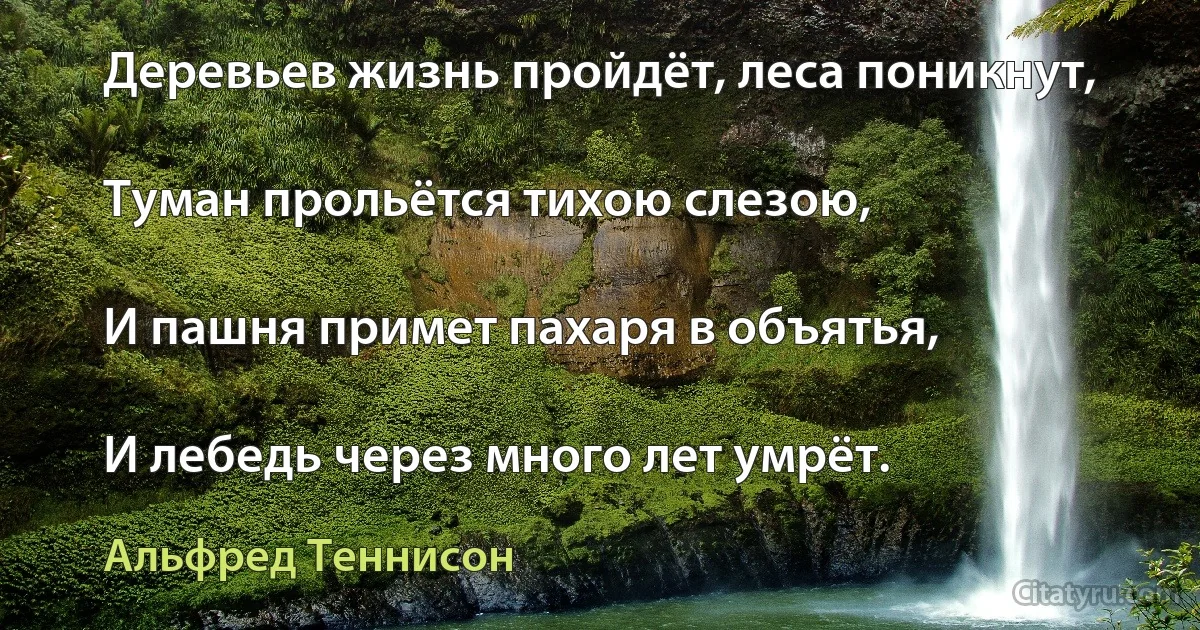 Деревьев жизнь пройдёт, леса поникнут,

Туман прольётся тихою слезою,

И пашня примет пахаря в объятья,

И лебедь через много лет умрёт. (Альфред Теннисон)