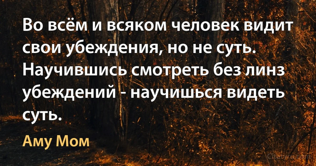 Во всём и всяком человек видит свои убеждения, но не суть. Научившись смотреть без линз убеждений - научишься видеть суть. (Аму Мом)